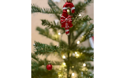 Drei Weihnachtsbäume gesucht