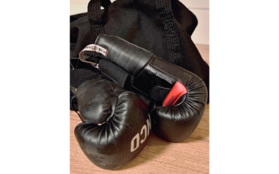 Boxhandschuhe in Seckbach gesucht