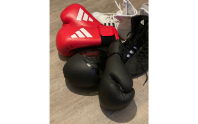 Kampfsporttrainer in Niederrad gesucht