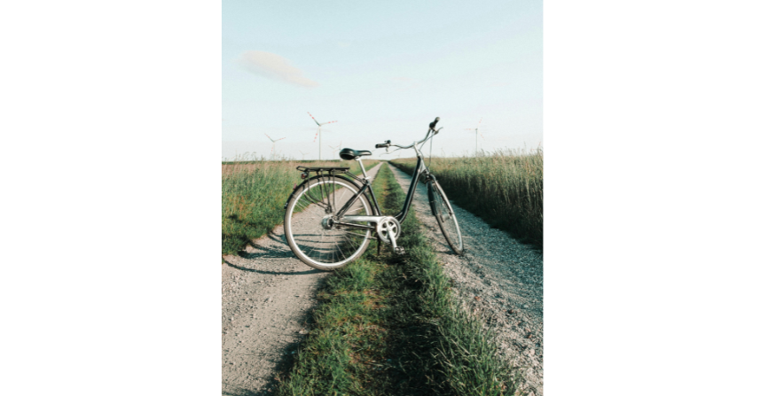 Fahrräder für Groß und Klein in Seckbach gesucht