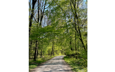 Ehrenamtliche für Wanderangebote gesucht