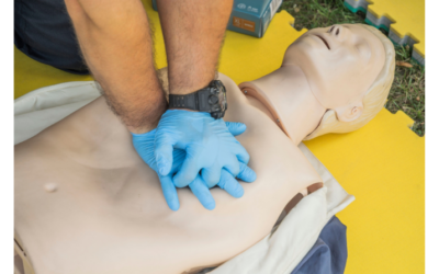 Reanimationspuppe im Gallus gesucht