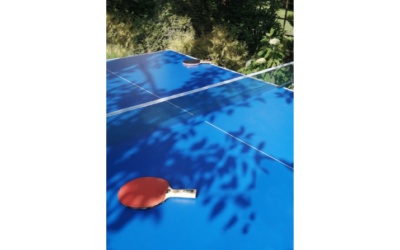 Tischtennisplatte in Rödelheim gesucht