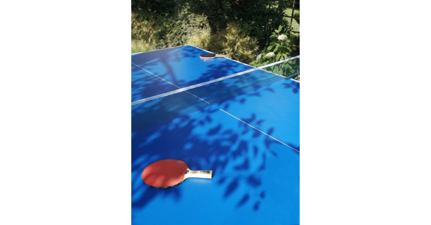 Tischtennisplatte in Rödelheim gesucht